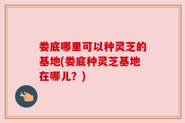 娄底哪里可以种灵芝的基地(娄底种灵芝基地在哪儿？)