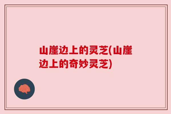 山崖边上的灵芝(山崖边上的奇妙灵芝) 山崖边上的灵芝(山崖边上的奇妙灵芝)