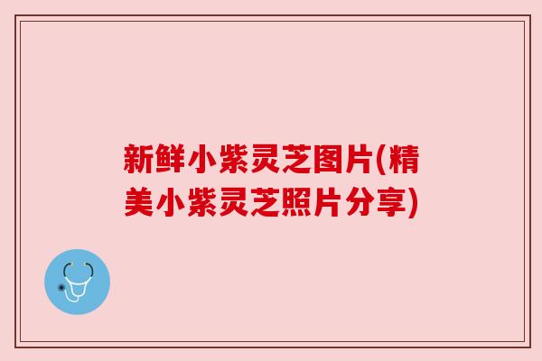 新鲜小紫灵芝图片(精美小紫灵芝照片分享) 新鲜小紫灵芝图片(精美小紫灵芝照片分享)