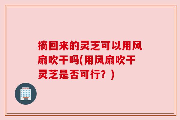 摘回来的灵芝可以用风扇吹干吗(用风扇吹干灵芝是否可行?) 摘回来的灵芝可以用风扇吹干吗(用风扇吹干灵芝是否可行?)
