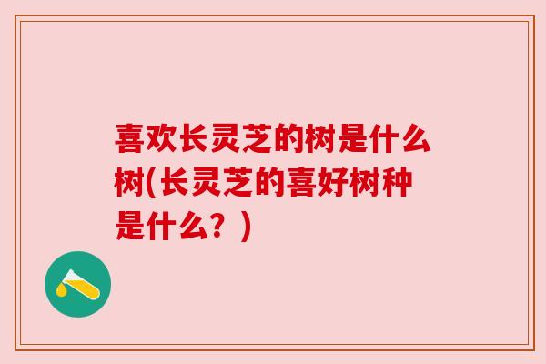 喜欢长灵芝的树是什么树(长灵芝的喜好树种是什么？)
