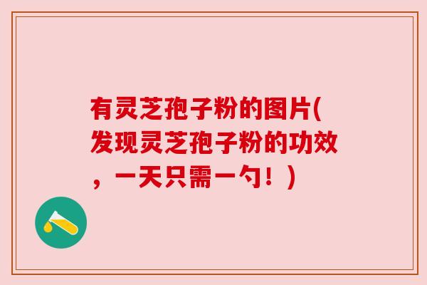 有灵芝孢子粉的图片(发现灵芝孢子粉的功效,一天只需一勺!) 有灵芝孢子粉的图片(发现灵芝孢子粉的功效,一天只需一勺!)