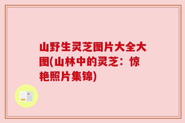 山野生灵芝图片大全大图(山林中的灵芝:惊艳照片集锦) 山野生灵芝图片大全大图(山林中的灵芝:惊艳照片集锦)