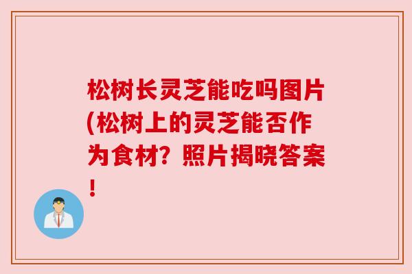 松树长灵芝能吃吗图片(松树上的灵芝能否作为食材？照片揭晓答案！