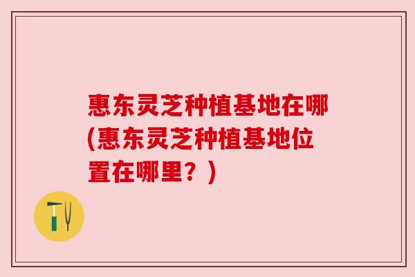 惠东灵芝种植基地在哪(惠东灵芝种植基地位置在哪里？)