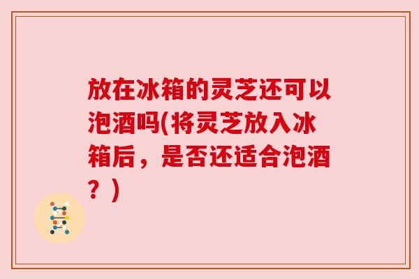 放在冰箱的灵芝还可以泡酒吗(将灵芝放入冰箱后,是否还适合泡酒?) 放在冰箱的灵芝还可以泡酒吗(将灵芝放入冰箱后,是否还适合泡酒?)
