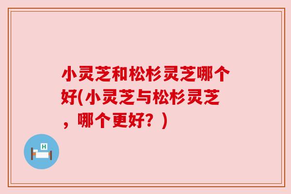 小灵芝和松杉灵芝哪个好(小灵芝与松杉灵芝，哪个更好？)