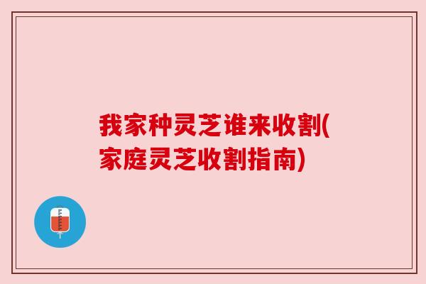 我家种灵芝谁来收割(家庭灵芝收割指南)