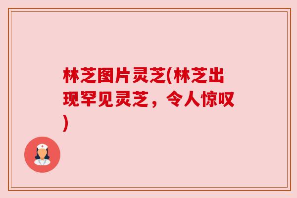 林芝图片灵芝(林芝出现罕见灵芝，令人惊叹)