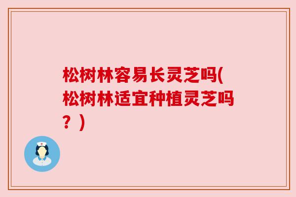 松树林容易长灵芝吗(松树林适宜种植灵芝吗?) 松树林容易长灵芝吗(松树林适宜种植灵芝吗?)