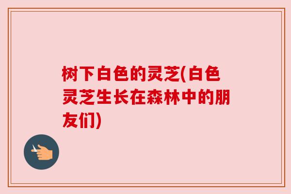 树下白色的灵芝(白色灵芝生长在森林中的朋友们)