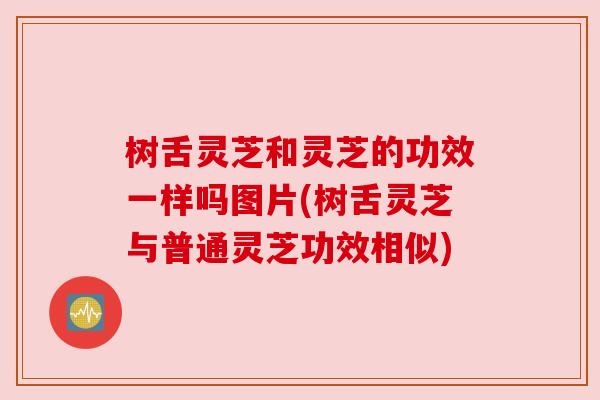树舌灵芝和灵芝的功效一样吗图片(树舌灵芝与普通灵芝功效相似)