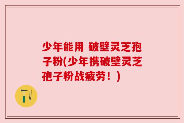 少年能用 破壁灵芝孢子粉(少年携破壁灵芝孢子粉战疲劳！)