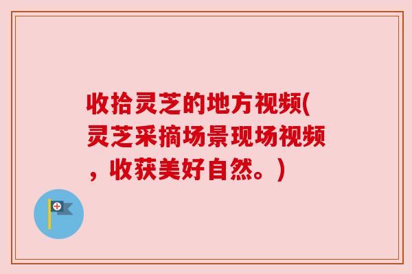 收拾灵芝的地方视频(灵芝采摘场景现场视频,收获美好自然。) 收拾灵芝的地方视频(灵芝采摘场景现场视频,收获美好自然。)