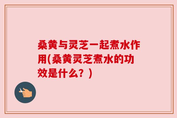 桑黄与灵芝一起煮水作用(桑黄灵芝煮水的功效是什么？)