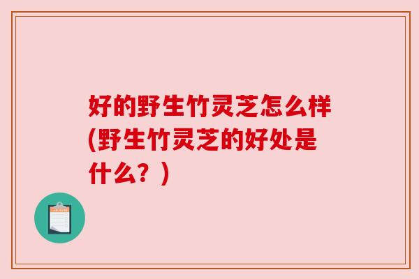 好的野生竹灵芝怎么样(野生竹灵芝的好处是什么?) 好的野生竹灵芝怎么样(野生竹灵芝的好处是什么?)