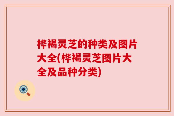 桦褐灵芝的种类及图片大全(桦褐灵芝图片大全及品种分类) 桦褐灵芝的种类及图片大全(桦褐灵芝图片大全及品种分类)
