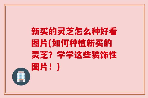 新买的灵芝怎么种好看图片(如何种植新买的灵芝？学学这些装饰性图片！)