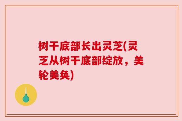 树干底部长出灵芝(灵芝从树干底部绽放,美轮美奂) 树干底部长出灵芝(灵芝从树干底部绽放,美轮美奂)