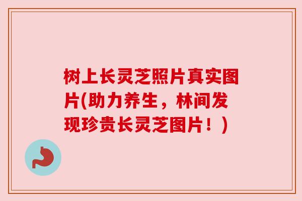 树上长灵芝照片真实图片(助力养生,林间发现珍贵长灵芝图片!) 树上长灵芝照片真实图片(助力养生,林间发现珍贵长灵芝图片!)