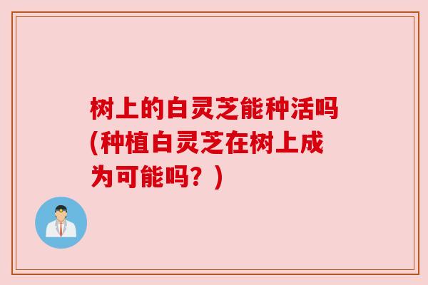树上的白灵芝能种活吗(种植白灵芝在树上成为可能吗？)
