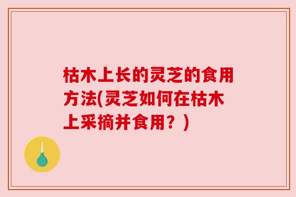 枯木上长的灵芝的食用方法(灵芝如何在枯木上采摘并食用?) 枯木上长的灵芝的食用方法(灵芝如何在枯木上采摘并食用?)