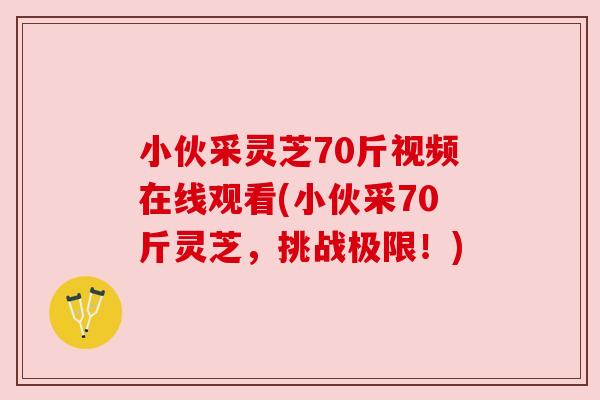 小伙采灵芝70斤视频在线观看(小伙采70斤灵芝，挑战极限！)