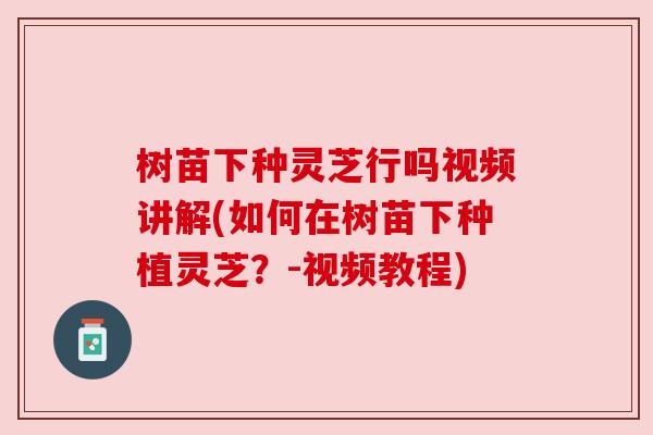 树苗下种灵芝行吗视频讲解(如何在树苗下种植灵芝？-视频教程)