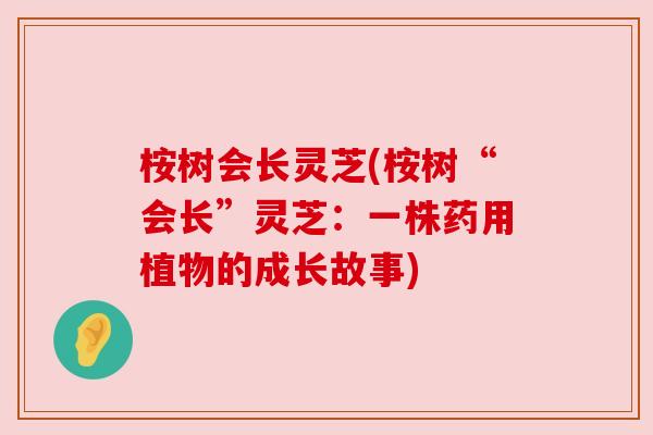 桉树会长灵芝(桉树“会长”灵芝:一株药用植物的成长故事) 桉树会长灵芝(桉树“会长”灵芝:一株药用植物的成长故事)