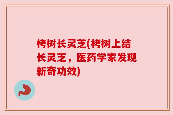 栲树长灵芝(栲树上结长灵芝,医药学家发现新奇功效) 栲树长灵芝(栲树上结长灵芝,医药学家发现新奇功效)