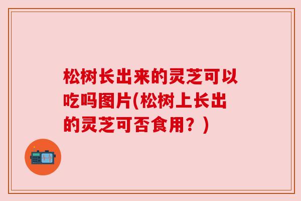 松树长出来的灵芝可以吃吗图片(松树上长出的灵芝可否食用?) 松树长出来的灵芝可以吃吗图片(松树上长出的灵芝可否食用?)