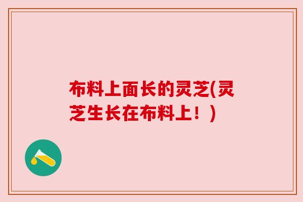 布料上面长的灵芝(灵芝生长在布料上！)