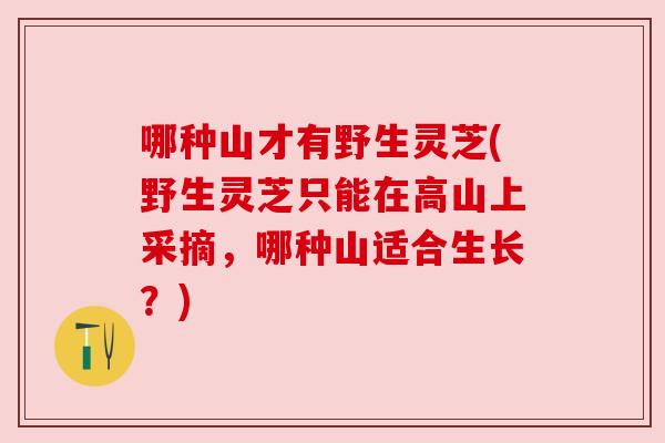 哪种山才有野生灵芝(野生灵芝只能在高山上采摘,哪种山适合生长?) 哪种山才有野生灵芝(野生灵芝只能在高山上采摘,哪种山适合生长?)