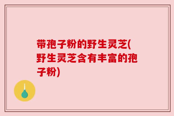 带孢子粉的野生灵芝(野生灵芝含有丰富的孢子粉) 带孢子粉的野生灵芝(野生灵芝含有丰富的孢子粉)
