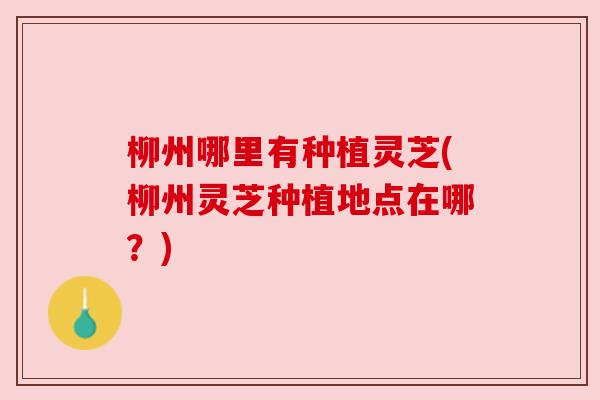 柳州哪里有种植灵芝(柳州灵芝种植地点在哪？)