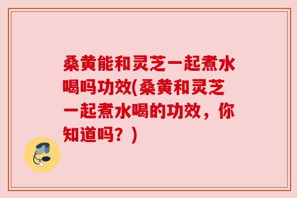 桑黄能和灵芝一起煮水喝吗功效(桑黄和灵芝一起煮水喝的功效，你知道吗？)