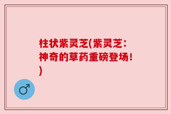 柱状紫灵芝(紫灵芝:神奇的草药重磅登场!) 柱状紫灵芝(紫灵芝:神奇的草药重磅登场!)