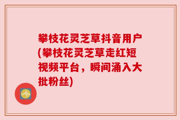 攀枝花灵芝草抖音用户(攀枝花灵芝草走红短视频平台，瞬间涌入大批粉丝)
