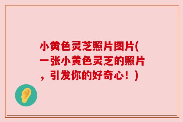 小黄色灵芝照片图片(一张小黄色灵芝的照片，引发你的好奇心！)