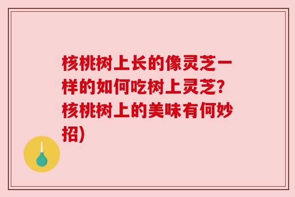 核桃树上长的像灵芝一样的如何吃树上灵芝?核桃树上的美味有何妙招) 核桃树上长的像灵芝一样的如何吃树上灵芝?核桃树上的美味有何妙招)