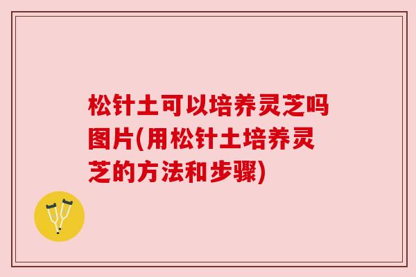 松针土可以培养灵芝吗图片(用松针土培养灵芝的方法和步骤) 松针土可以培养灵芝吗图片(用松针土培养灵芝的方法和步骤)