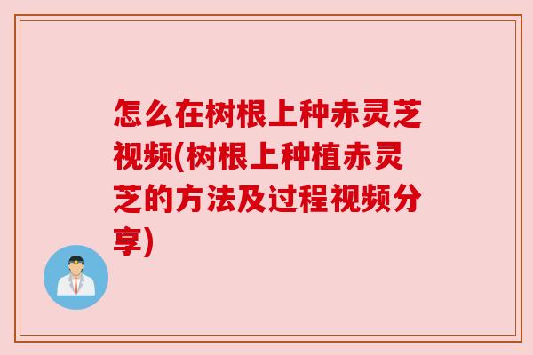 怎么在树根上种赤灵芝视频(树根上种植赤灵芝的方法及过程视频分享)