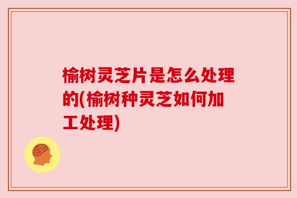 榆树灵芝片是怎么处理的(榆树种灵芝如何加工处理)