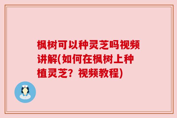枫树可以种灵芝吗视频讲解(如何在枫树上种植灵芝?视频教程) 枫树可以种灵芝吗视频讲解(如何在枫树上种植灵芝?视频教程)