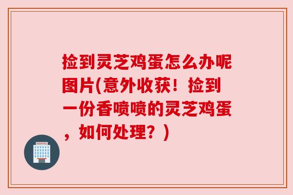 捡到灵芝鸡蛋怎么办呢图片(意外收获!捡到一份香喷喷的灵芝鸡蛋,如何处理?) 捡到灵芝鸡蛋怎么办呢图片(意外收获!捡到一份香喷喷的灵芝鸡蛋,如何处理?)