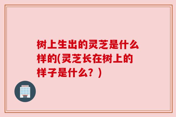树上生出的灵芝是什么样的(灵芝长在树上的样子是什么?) 树上生出的灵芝是什么样的(灵芝长在树上的样子是什么?)