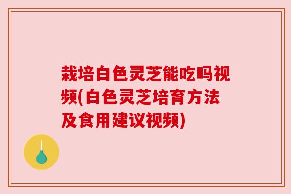 栽培白色灵芝能吃吗视频(白色灵芝培育方法及食用建议视频) 栽培白色灵芝能吃吗视频(白色灵芝培育方法及食用建议视频)