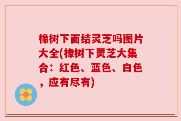 橡树下面结灵芝吗图片大全(橡树下灵芝大集合:红色、蓝色、白色,应有尽有) 橡树下面结灵芝吗图片大全(橡树下灵芝大集合:红色、蓝色、白色,应有尽有)