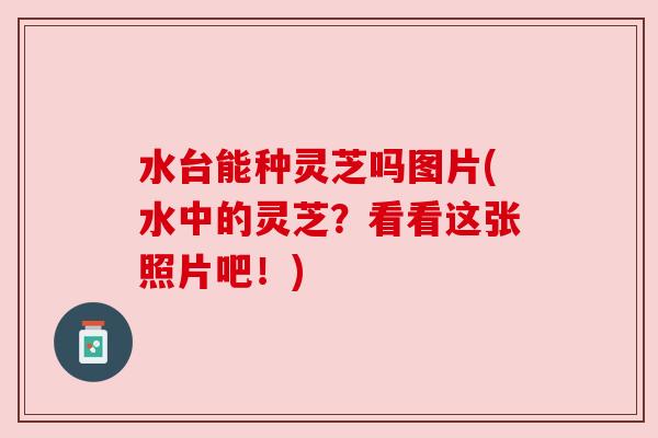 水台能种灵芝吗图片(水中的灵芝?看看这张照片吧!) 水台能种灵芝吗图片(水中的灵芝?看看这张照片吧!)