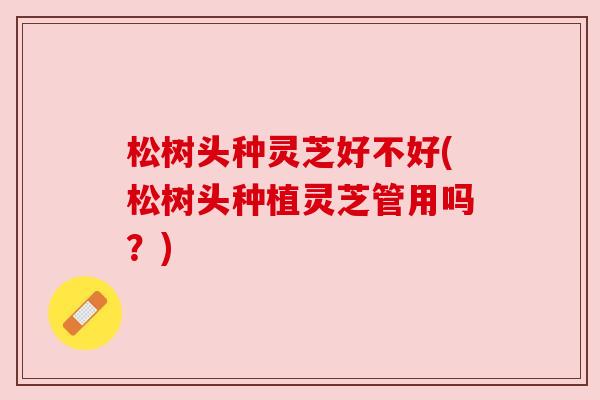 松树头种灵芝好不好(松树头种植灵芝管用吗？)